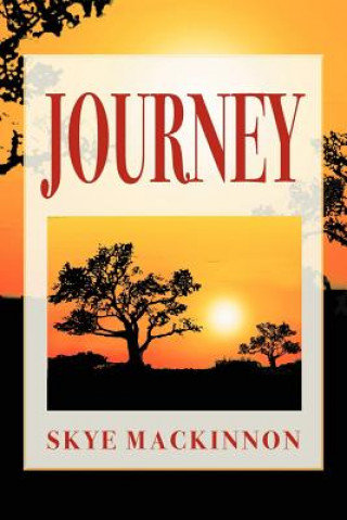 Kniha Journey Skye MacKinnon