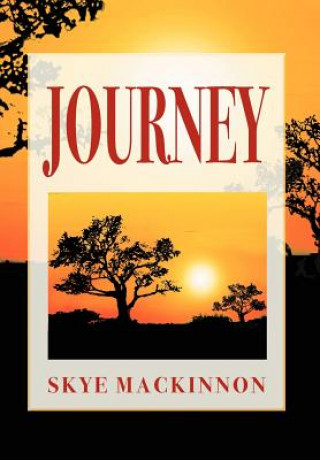 Книга Journey Skye MacKinnon