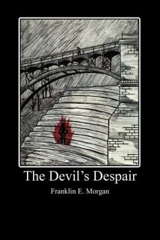 Buch Devil's Despair Franklin E Morgan