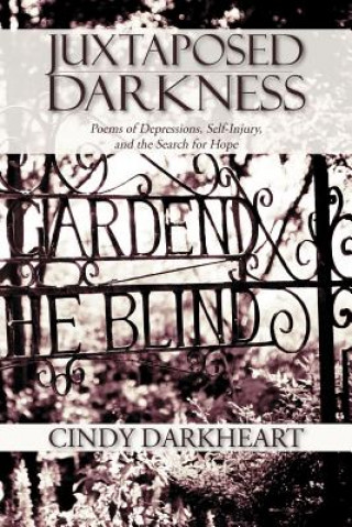 Kniha Juxtaposed Darkness Cindy Darkheart