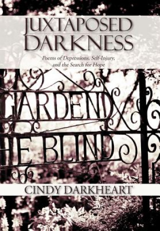 Kniha Juxtaposed Darkness Cindy Darkheart