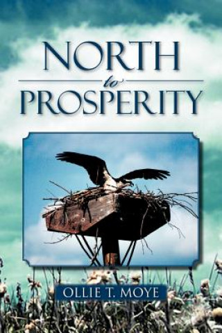 Книга North to Prosperity Ollie T Moye
