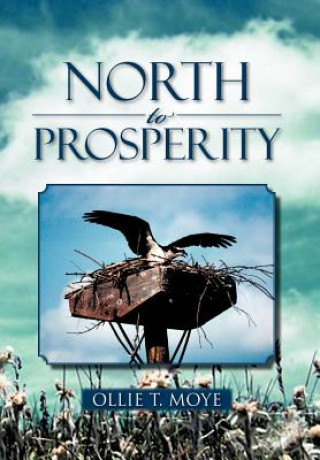 Carte North to Prosperity Ollie T Moye