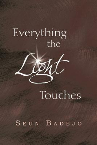Book Everything the Light Touches Seun Badejo
