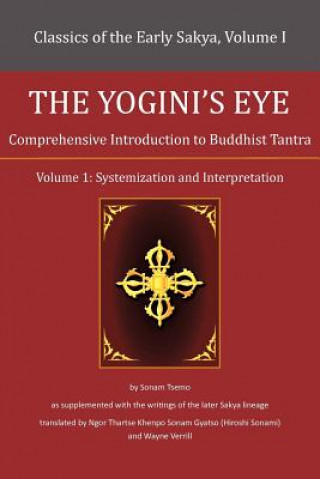 Kniha Yogini's Eye Wayne Verrill