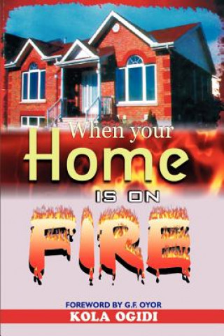 Книга When your home is on fire Kola Ogidi