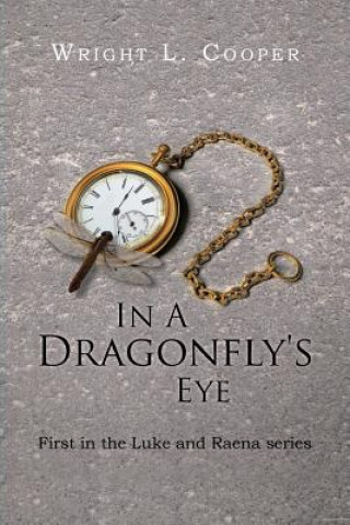 Book In a Dragonfly's Eye Wright L Cooper