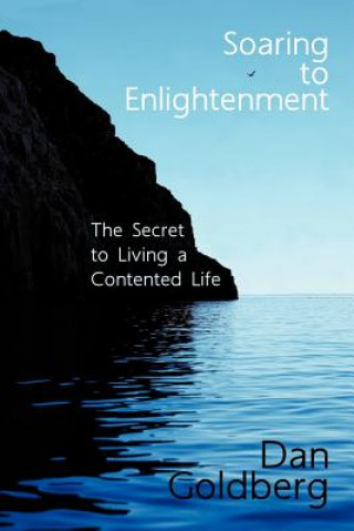 Book Soaring to Enlightenment Dan Goldberg