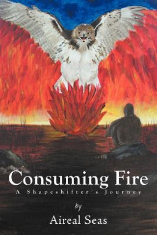 Book Consuming Fire Aireal Seas