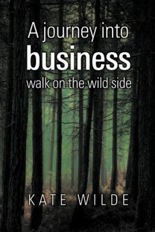 Книга Journey Into Business Kate Wilde