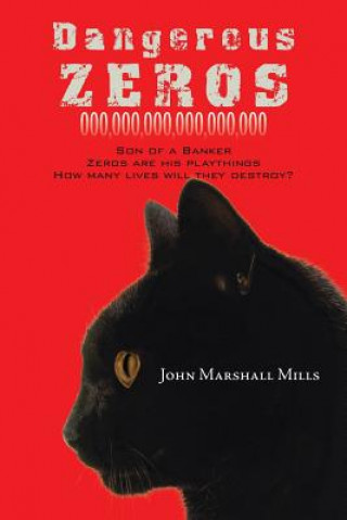 Kniha Dangerous Zeros John Marshall Mills