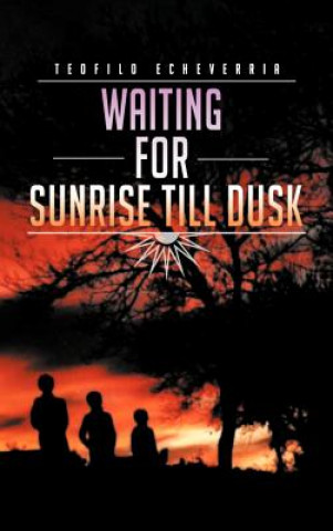 Könyv Waiting for Sunrise Till Dusk Teofilo Echeverria
