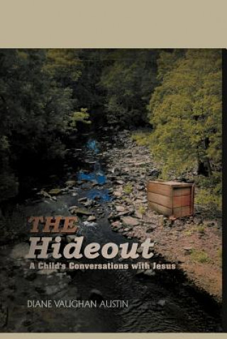 Book Hideout Diane Vaughan Austin