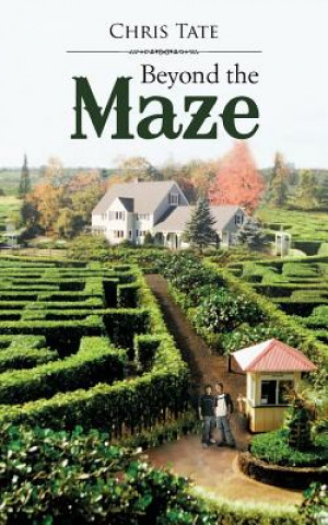 Kniha Beyond The Maze Chris Tate