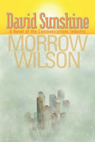 Libro David Sunshine Morrow Wilson