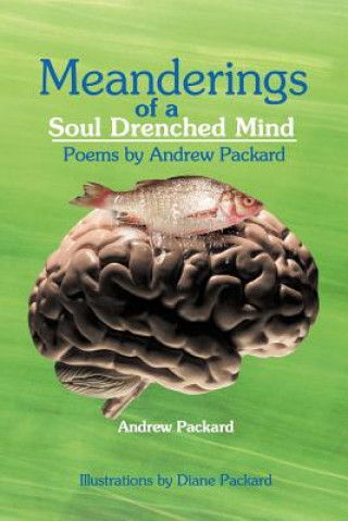 Kniha Meanderings of a Soul Drenched Mind Dr Andrew Packard