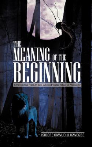 Book Meaning of the Beginning Isidore Okwudili Igwegbe