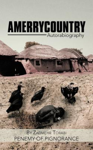 Buch Amerrycountry Penemy of Pignorance