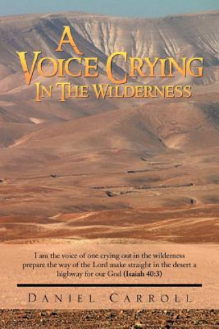 Книга Voice Crying In The Wilderness Daniel Carroll