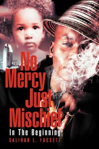 Könyv No Mercy Just Mischief Salihah L. Fassett