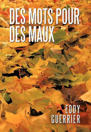 Buch Des Mots Pour Des Maux Eddy Guerrier