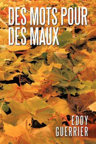 Buch Des Mots Pour Des Maux Eddy Guerrier