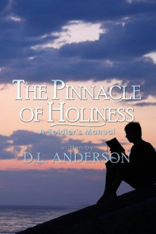 Книга Pinnacle of Holiness D. L. Anderson