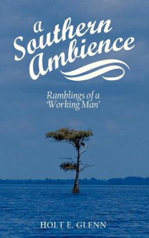 Книга Southern Ambience Holt E Glenn