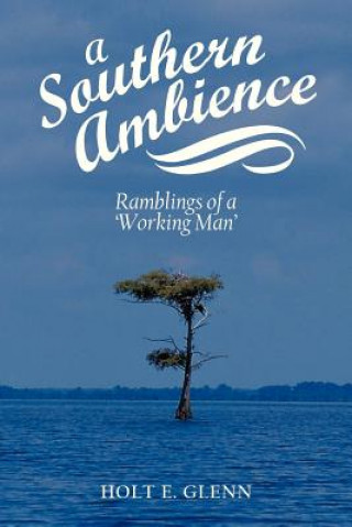 Книга Southern Ambience Holt E Glenn