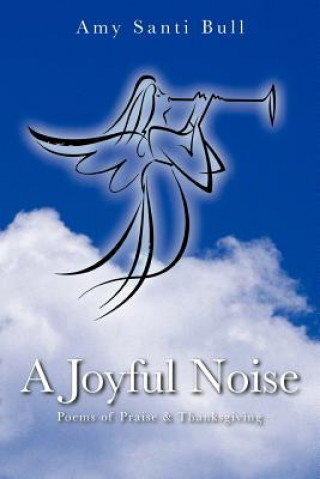 Book Joyful Noise Amy Santi Bull