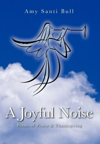 Book Joyful Noise Amy Santi Bull