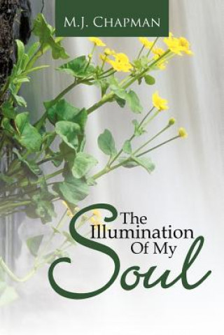 Knjiga Illumination Of My Soul M J Chapman