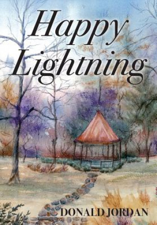 Book Happy Lightning Donald Jordan