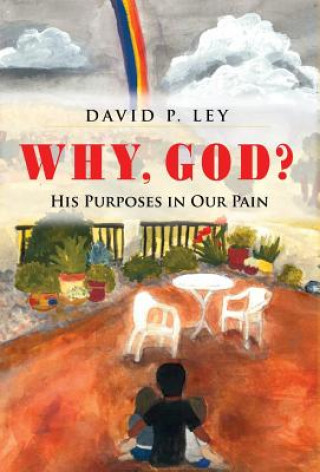 Kniha Why, God? His Purposes in Our Pain David P Ley