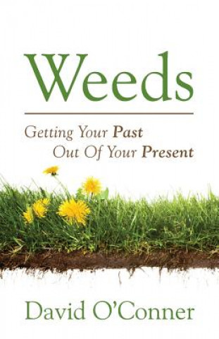 Kniha Weeds David Oconner