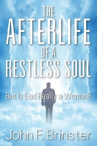 Buch Afterlife of a Restless Soul John F Brinster