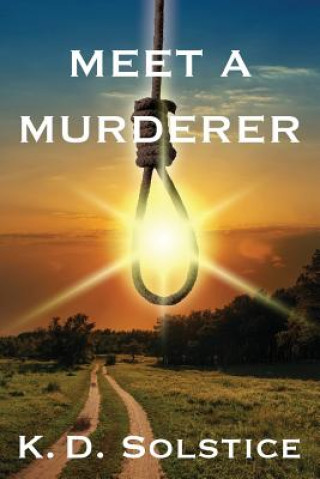 Buch Meet A Murderer K D Solstice