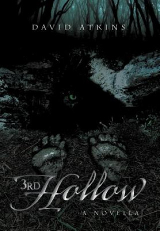 Buch 3rd Hollow David Atkins