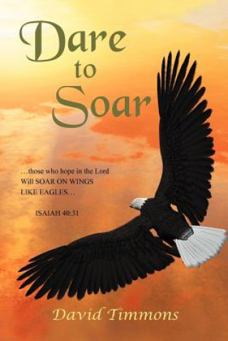 Buch Dare to Soar David Timmons