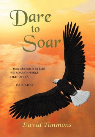 Buch Dare to Soar David Timmons