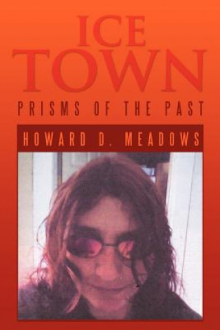 Книга Ice Town Howard D Meadows