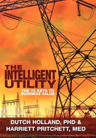 Boek Intelligent Utility Med Harriet Prithcett