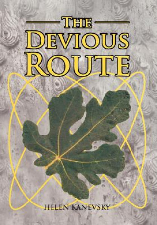 Book Devious Route Helen Kanevsky