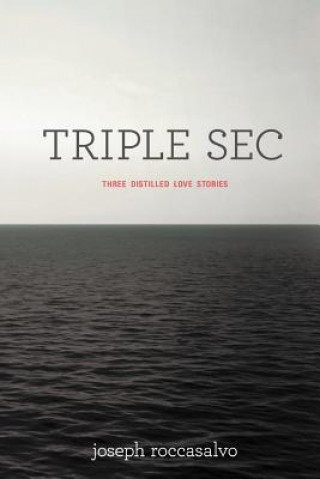Kniha Triple SEC Joseph Roccasalvo