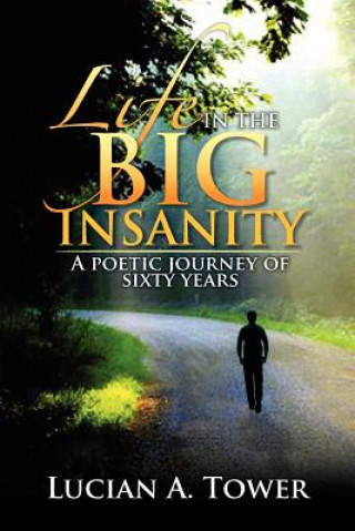 Book Life in the Big Insanity Lucian A Tower