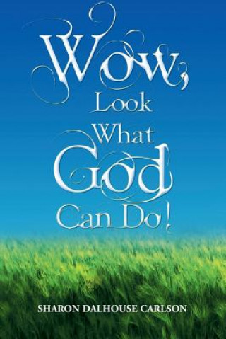Carte Wow, Look What God Can Do! Sharon Dalhouse Carlson