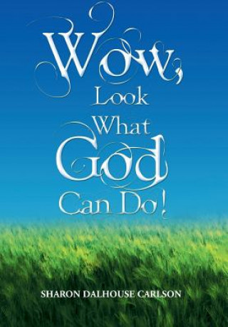 Carte Wow, Look What God Can Do! Sharon Dalhouse Carlson