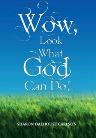 Knjiga Wow, Look What God Can Do! Sharon Dalhouse Carlson