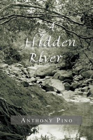 Kniha Hidden River Anthony Pino