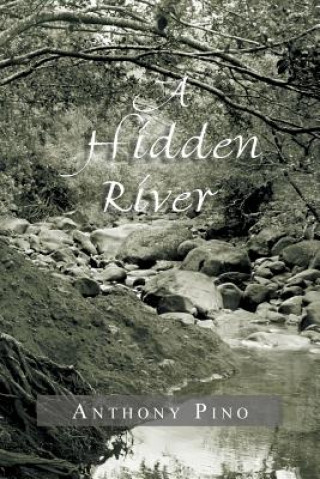 Libro Hidden River Anthony Pino